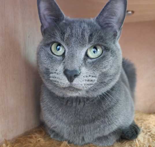 Photo of Stormy