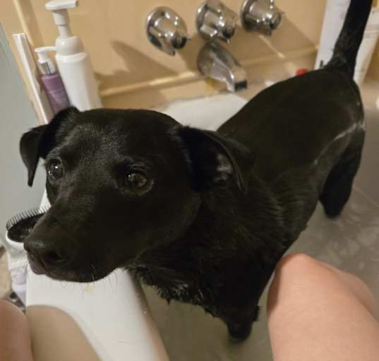 Photo of Zero