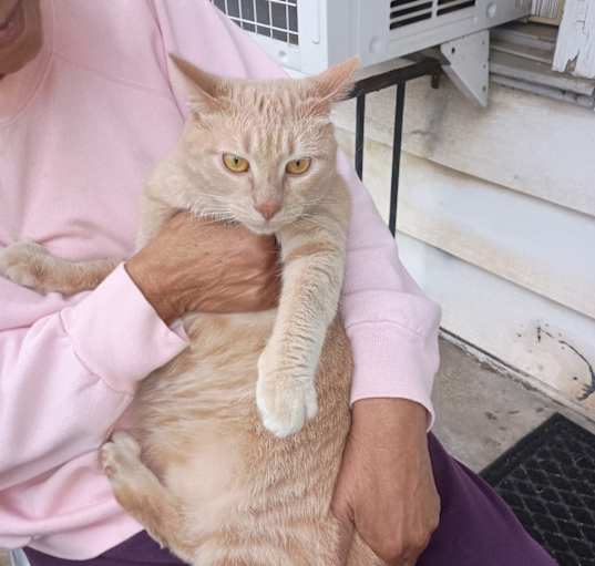 Photo of Bobo