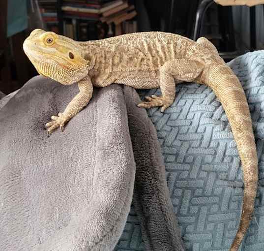 Photo of Fiona