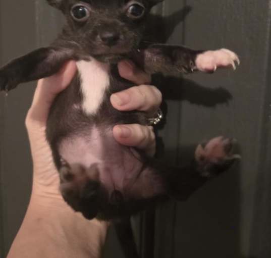 Photo of Tiani