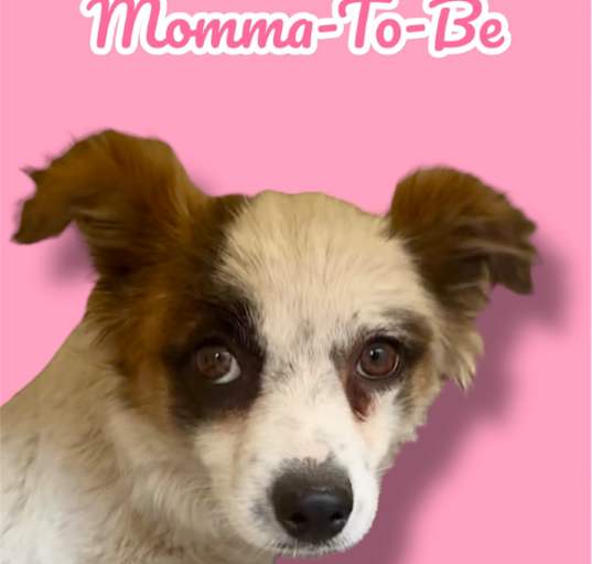 Photo of Momma