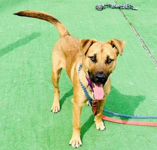 Photo of Murphy