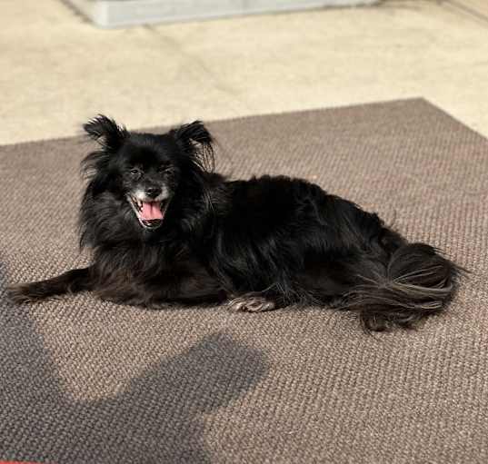 Photo of Rico