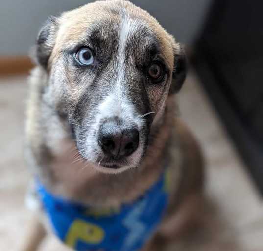 Photo of JAX