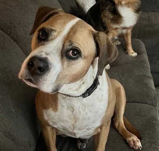 Photo of Daisy