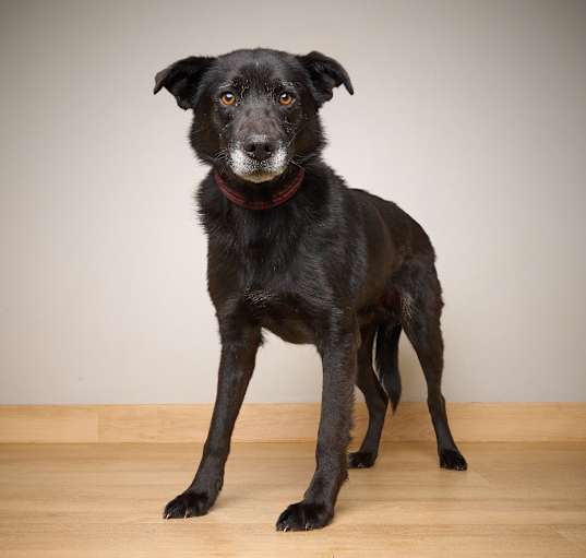 Photo of Beckey D64534