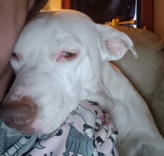 Photo of Lulu