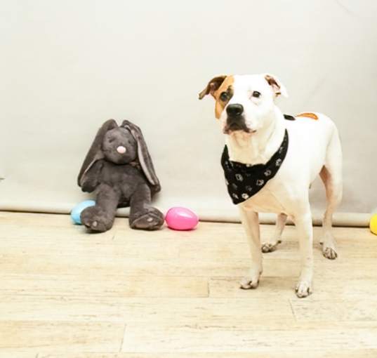 Photo of ZEUS