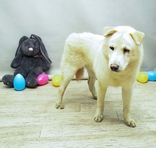 Photo of MINK