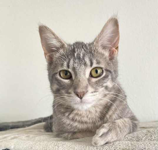 Photo of Sookie