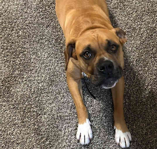 Photo of Oakley