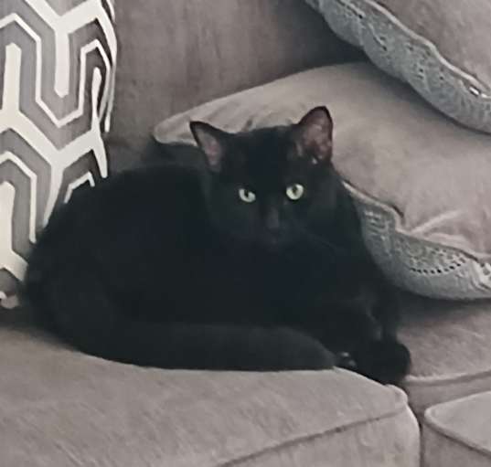 Photo of Jake
