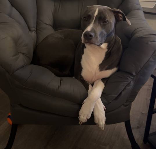 Photo of Lila