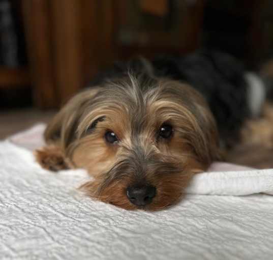 Photo of Quba