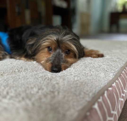 Photo of Nupe