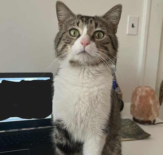 Photo of Henry