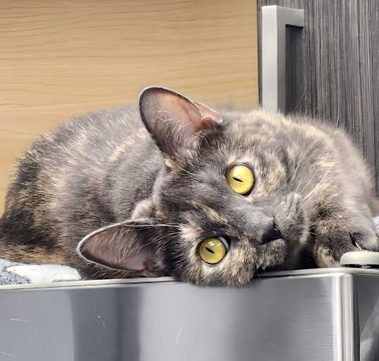 Photo of Sammi