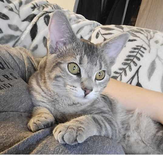 Photo of Sophia