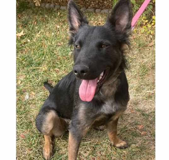Photo of Lucy