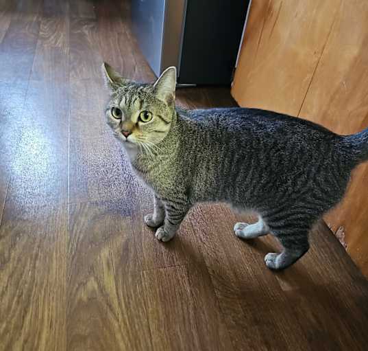 Photo of Belle