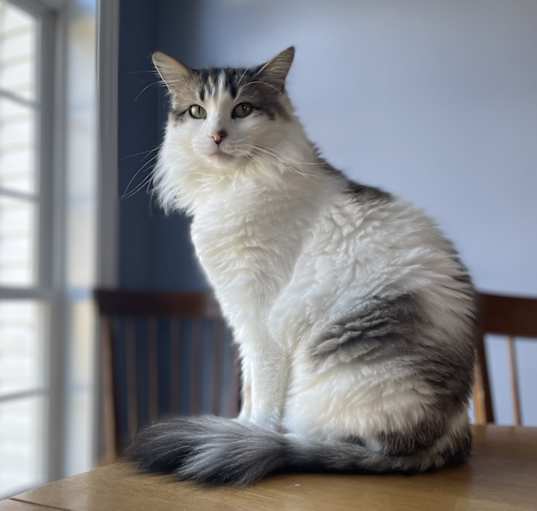 Photo of Booker