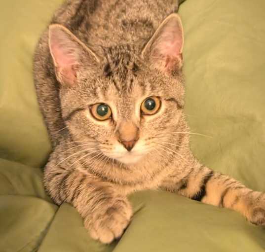 Photo of Ahoy