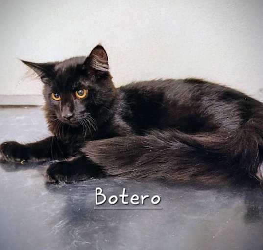 Photo of Botero #Fernando
