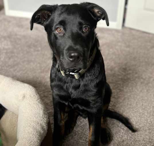 Photo of Jaxx