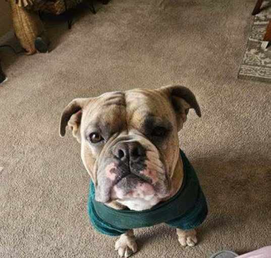 Photo of WALLY #1