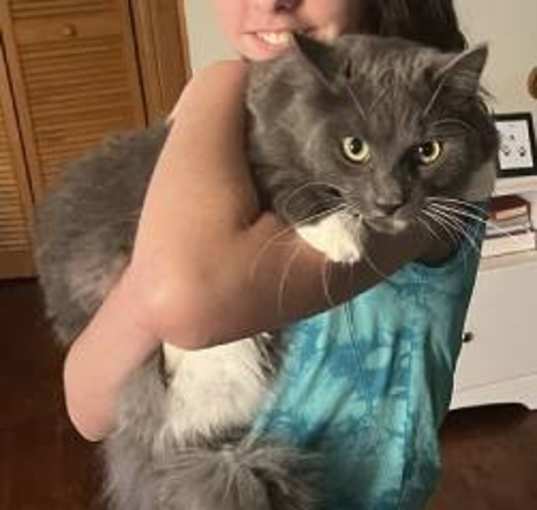 Photo of Ash