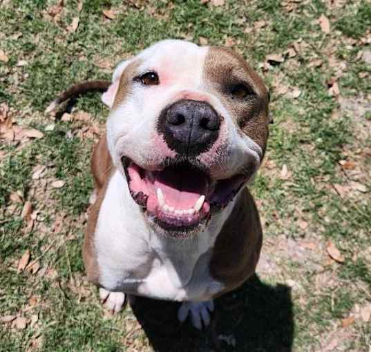 Photo of Buffy