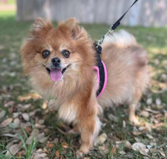 Photo of Heidi