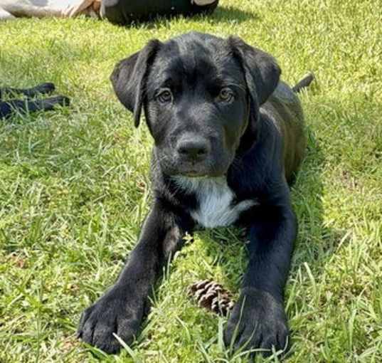 Photo of Kilty