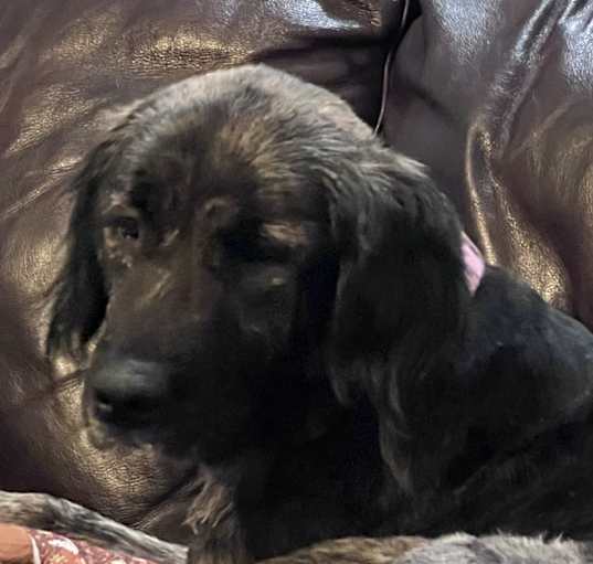 Photo of Ellie