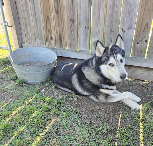 Photo of Sawyer