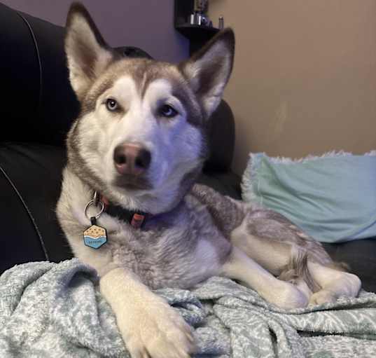 Photo of Mara