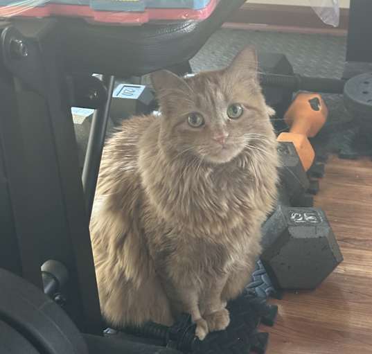 Photo of Quinn