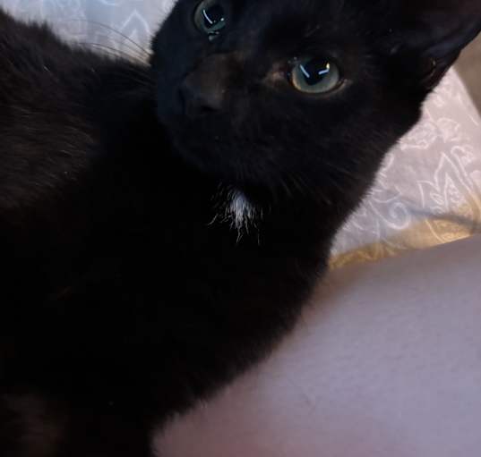 Photo of Hershey