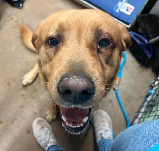 Photo of Astro