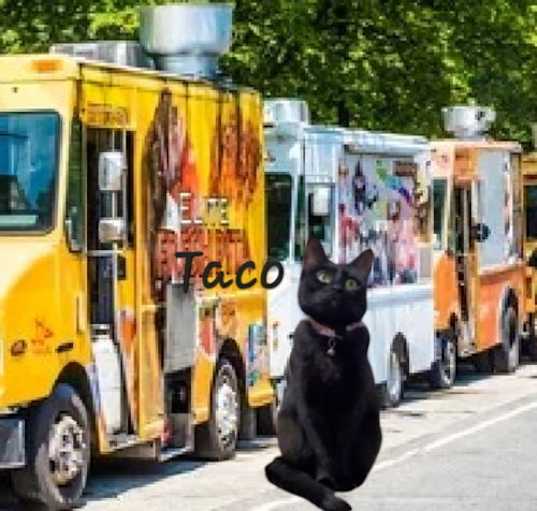 Photo of Taco #miss-foodie