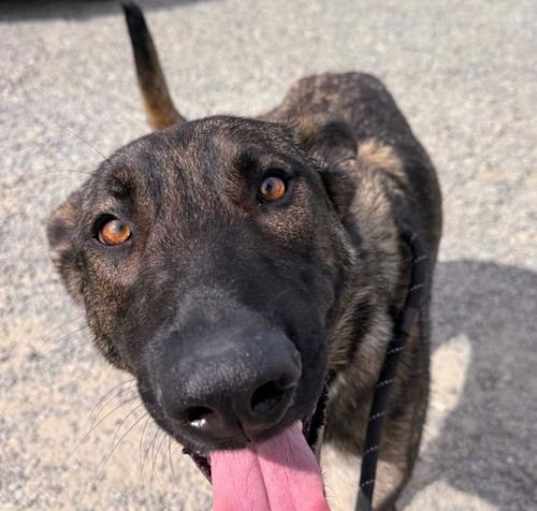 Photo of *ZEPHYR