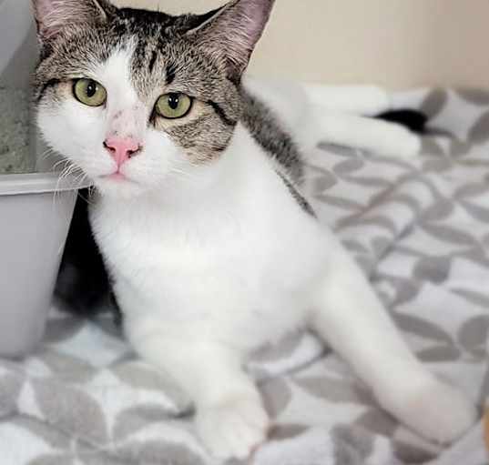 Photo of Mr. Chi