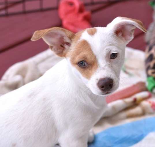 Photo of Baby