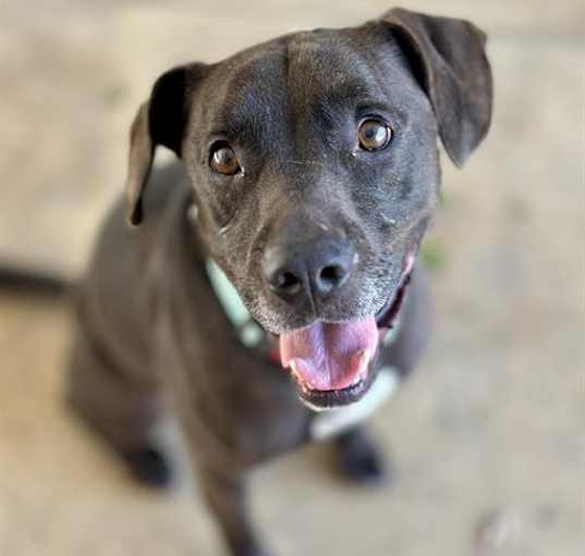 Photo of BASH