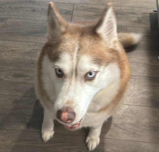 Photo of Mia