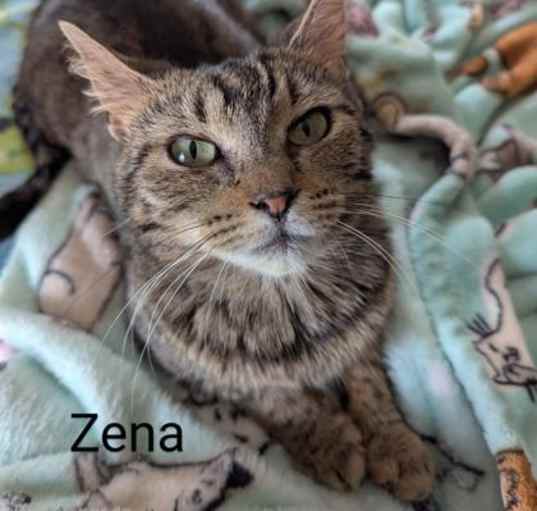 Photo of Zena