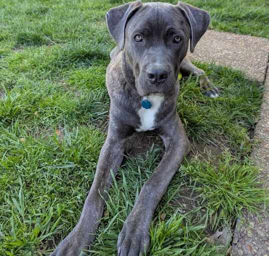 Photo of Thor