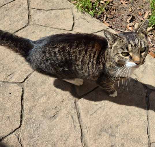 Photo of Mandy
