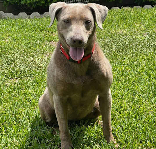 Photo of Ellie